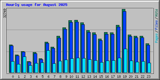 Hourly usage for August 2025