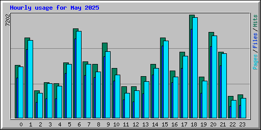 Hourly usage for May 2025