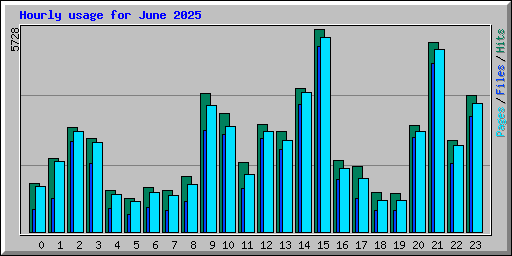 Hourly usage for June 2025